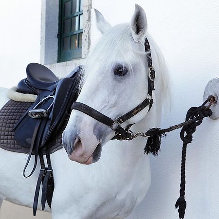 Arrabida Heritage @Portugal Luxury Retreat Guest House Азейтау Екстериор снимка