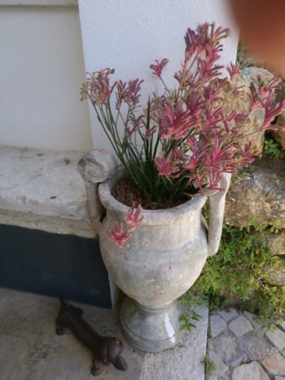 Arrabida Heritage @Portugal Luxury Retreat Guest House Азейтау Екстериор снимка