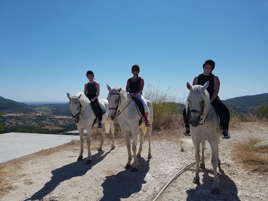 Arrabida Heritage @Portugal Luxury Retreat Guest House Азейтау Екстериор снимка